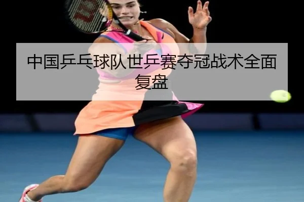 中国乒乓球队世乒赛夺冠战术全面复盘